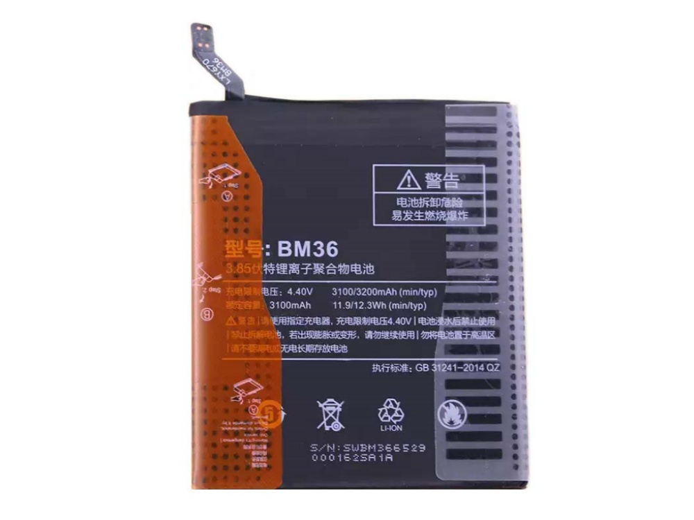 BM36